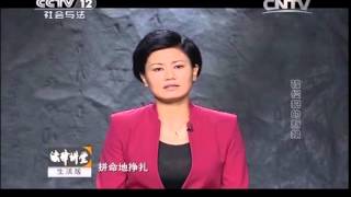 20141226 法律讲堂  被侵犯的新娘