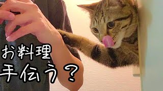 しぴこめクッキング(肉巻きおにぎり編)