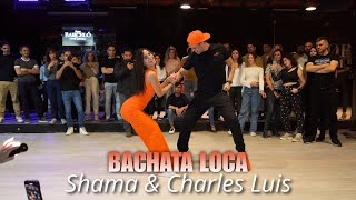 ⚡️Elwin Y Gaby⚡️|BACHATA LOCA Shama ft Charles Luis | Sala Cats bachata 2024