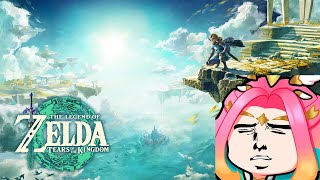 🌸 playing the worst zelda game