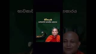 ජීවිතයම භාවනාවක් / Mankadawala Sudassana Thero