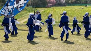 馬関奇兵隊①(ズームVer)［川棚菜の花よさこい 2023.04.02(日)]