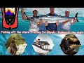 the best budget portable fish finder lucky portable fish finder review