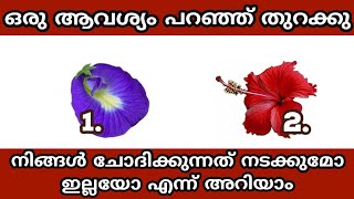 Thodukuri..നിങ്ങൾ ചോദിക്കുന്നത് നടത്തി തരുമോ ഇല്ലയോ എന്ന് അറിയാം. jyothisham Malayalam. astrology.