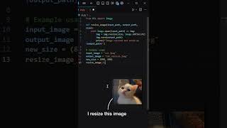 Resize Images in Python | Quick Python Project Tutorial #shorts #python