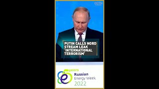 Putin calls Nord Stream leak ‘international terrorism'