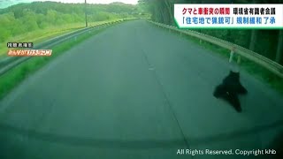 宮城・七ヶ宿町でクマと車が衝突　環境省は捕獲の規制を緩和へ