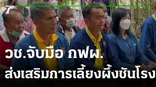 วช.จับมือ กฟผ.ส่งเสริมการเลี้ยงผึ้งชันโรง | 21-11-65 | ไทยรัฐนิวส์โชว์