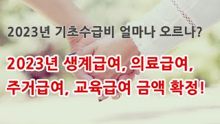 2023년 기초수급비 얼마나 오르나? 생계급여, 의료급여, 주거급여, 교육급여 금액 확정!