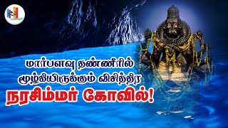 மார்பளவு தண்ணீரில் மூழ்கியிருக்கும் விசித்திர கோவில்! in tamil | Tamil Kanoli