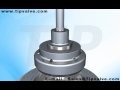 api globe valve