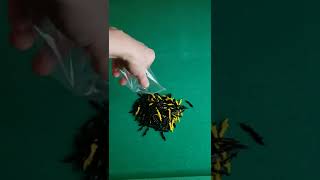 It really is what it is