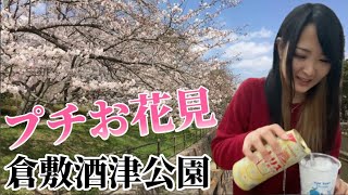 [お花見] 酒津公園でKFCとﾊｲﾎﾞｰﾙ