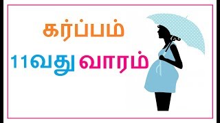 கர்ப்பம் வாரம் 11|Tamil  Week 11| 11 வார கர்ப்பம்|pregnancy week by week video in tamil