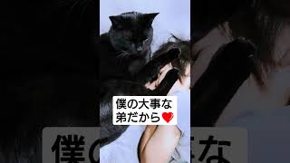 大好きすぎて息子が寝てるとこうなる😂#shorts #blackcat #cat #黒猫 #猫 #猫動画