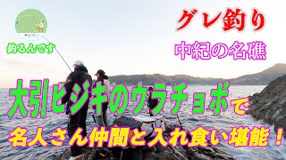 【グレ釣り】中紀の名礁大引ヒジキの裏チョボで名人さん仲間と入れ食い堪能！＃磯つり　＃大引  ＃ヒジキの裏チョボ