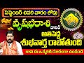 వృషభరాశి వారికి శుభవార్త రాబోతుంది Vrishabha Rasi Phalalu September 2024 | Taurus Horoscope | 9MaxTv