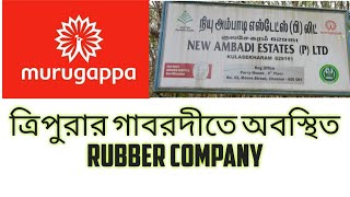 CENEX or Rubber Latex 60% production flow chart of New Ambadi Estate Pvt. Lt.