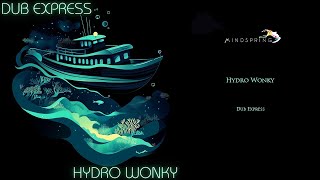 Hydro Wonky - Dub Express