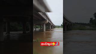 srilanka flood 😥|කොහොමද ගංවතුර 💦 | dangerous 😱😱 #dangerous#shorts#nature#sad#video#ytshorts#travel