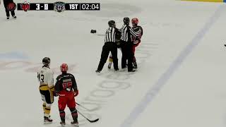 Chad Pietroniro vs Jordan Kelsall EIHL fight 24-3-24