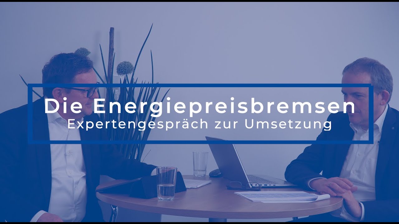 Die Energiepreisbremse Im Produzierenden Gewerbe: Experten-Antworten ...