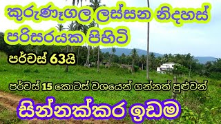 Property sale in (kurunegala yaggapitiya) land for sale in sri lanka