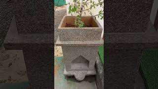 Holy Thulasi Plant| Granite Pot #interiorideas# thulasi