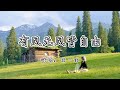 王一佳 - 有风无风皆自由『心若无所求 有风无风皆自由，平凡日子中 不争不夺不忧愁。』『动态歌词MV』