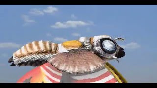 Mothra Test Animation