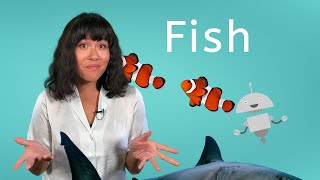 Fish - Biology for Teens!