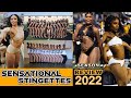 ASU Sensational Stingettes 2022 | Season Review 🐝🐝🐝🐝