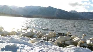 北海道—屈斜路湖的古丹溫泉—[コタンの湯（屈斜路エリア） ]