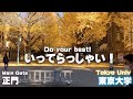 🎓♯2東京大学へご案内【行き方 アクセス 東大前駅】the way to tokyo univ.japan tokyo walking tour guide