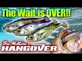 The Hangover Swimbait is FINALLY Here!! (Underwater Swim Footage, Best Rod/Reel/Line & Inspirations)