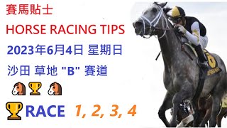 🏆「賽馬貼士」🐴2023年 6 月 4 日💰 星期日  😁 沙田 香港賽馬貼士💪 HONG KONG HORSE RACING TIPS🏆 RACE  1  2  3  4      😁