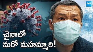 చైనాలో మరో మహమ్మారి! | Another Virus Identified In China | SakshiTV