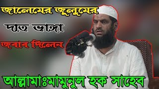 জালিম জুলুমের দাত ভাঙ্গা জবাব দিলেন।।Allama Mamunul Haque Bangla Waz 2018.