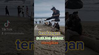 tendangan burung gagak #fypシ #viral #video #youtuber #youtube #shorts #short #fyp