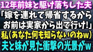 【スカッと】12年前妹と駆け落ちした夫「嫁を連れて帰省するからお前は実家から出て行け」→私（あなた何も知らないのねw）夫と妹が見た衝撃の光景がw【修羅場】