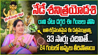 నేడే శ‌నిత్ర‌యోద‌శి రావి చెట్టు ద‌గ్గ‌ర ఇలా చేస్తే | ShaniTrayodashi Pooja| sravanthi |@noxtvBhakthi