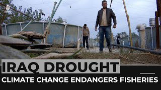 Iraq: Climate change endangers fisheries & aquaculture activities