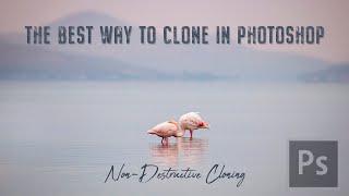 The Best Way to Clone in Photoshop