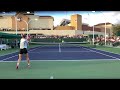 シモナ・ハレプのバックハンド（スロー） simona halep backhand slow motion a2