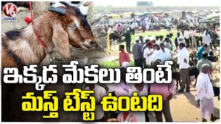 Why Echoda Goat Market Famous, Watch Special Story On Adilabad Goat Market | V6 News