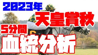 【2023天皇賞秋 予想】血統の観点のみから競馬予想　正直イクイノックス連覇でいいでしょと思うけれども、ジャスティンパレスあたりも気になる血統予想とは？【競馬】