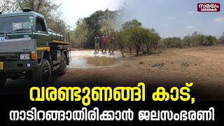 വനത്തിനുള്ളിൽ ജലസംഭരണികൾ | Drought | Forest | Wild Animals