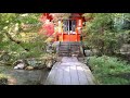 20211118山科毘沙門堂紅葉