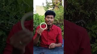 Radium Life Hacks! இதை கண்டிப்பா பண்ணுங்க!