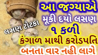 આ જ્ગ્યાએ મૂકી દો લસણ ની એક કળી, કંગાળ માથી કરોડપતિ બનતા વાર નહી લાગે।।vastu Tips